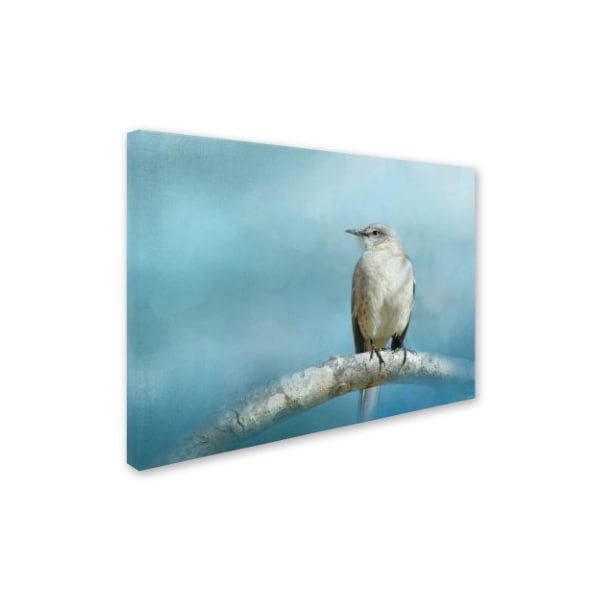 Jai Johnson 'Good Winter Morning' Canvas Art,14x19